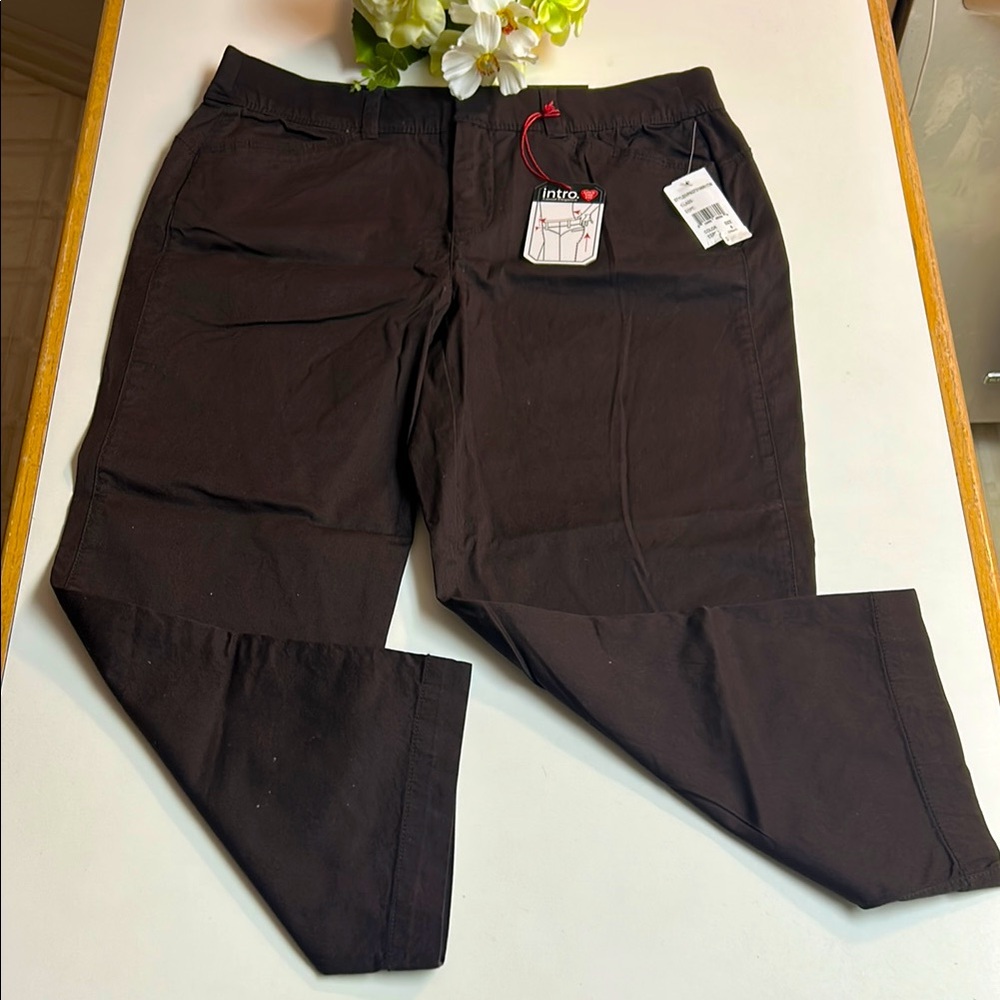 NWT⭐️INTRO Capri PANTS Brown🤎Comfort Waist; Tummy Control; Bottom Lifter Size 8